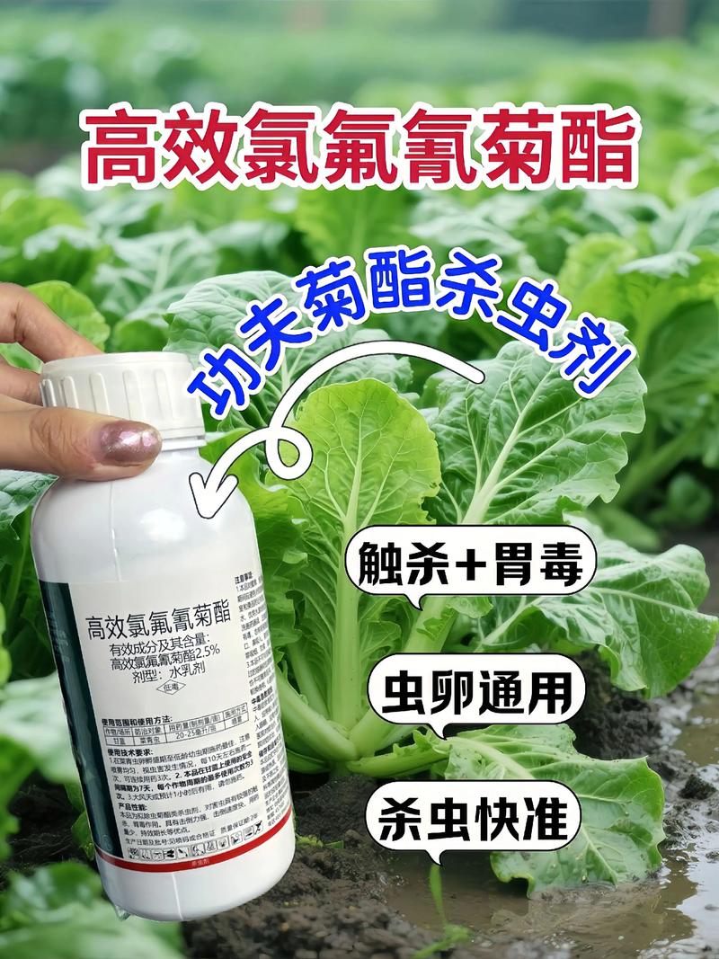 孝感代生中心:农药对供卵代生妈妈的危害